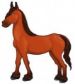 CAVALOS
